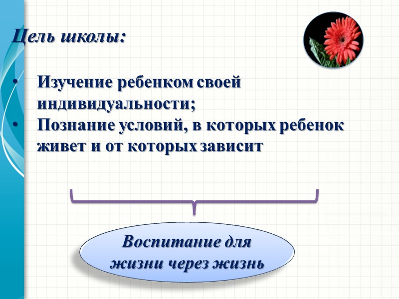 Цель школы:  Изучение ребенком своей индивидуальности; Познание условий, в которых ребенок живет и